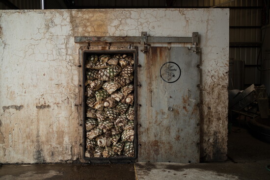 Photo by Jordan Curet