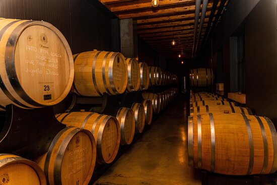 Photo by Bonfadini Franciacorta
