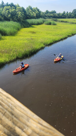 Students at Portsmouth Public Schools engage in a Meaning Watershed Educational Experience (MWEE) with a focus on an experimental comparison of oyster growth be