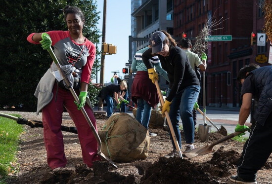Native tree planting in Baltimore.