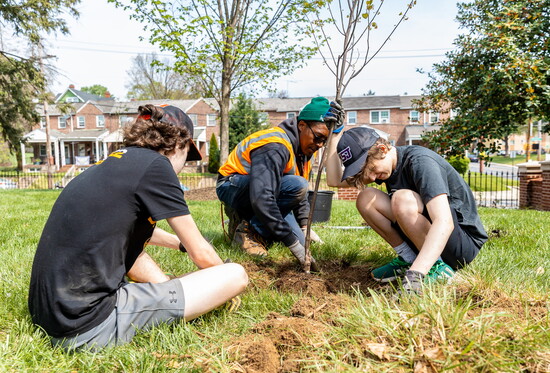 Volunteers plant native trees with the Alliance for the Chesapeake Bay.