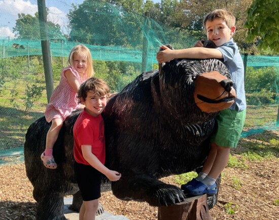 Gather Around the Playful Bear