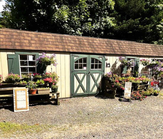 The Farm Stand is Open!