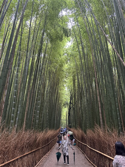 The Arashiyama Bamboo Grove in Kyoto, Japan, offers a tranquil stroll through towering, manicured bamboo trees.