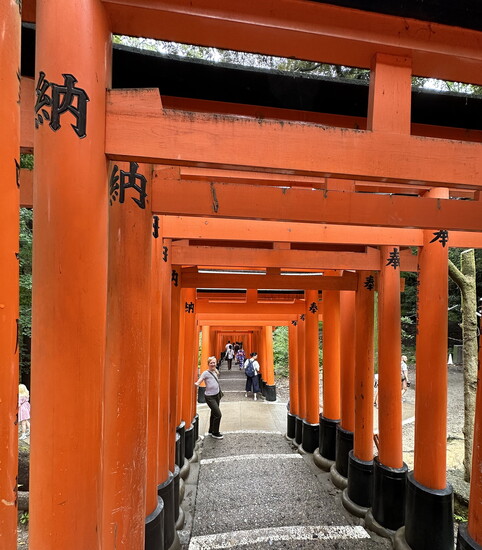 Standing among the thousands of vermillion torii gates at Fushimi Inari Shrine in south Tokyo, one of the most important shrines in Japan, dedicated to Inari, t