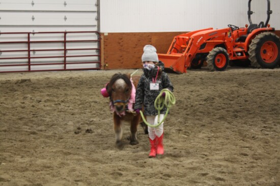 Children are Trained to Lead the Horses