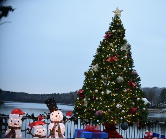 The 2022 Trident Marina Christmas tree
