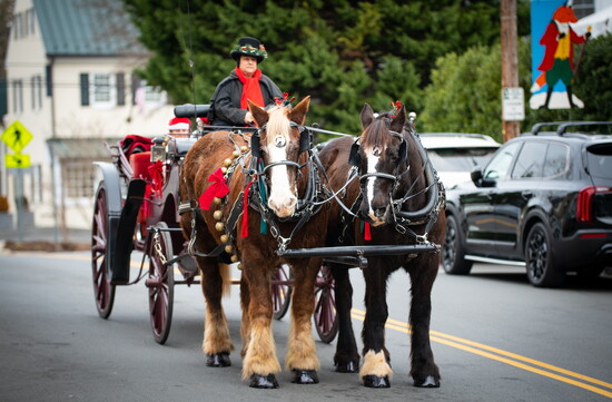 A beautiful horse and buggy rolling through the Middleburg parade.