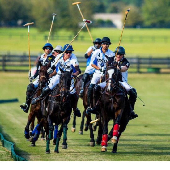 High goal polo will be the main event at Chukkers for Hope
