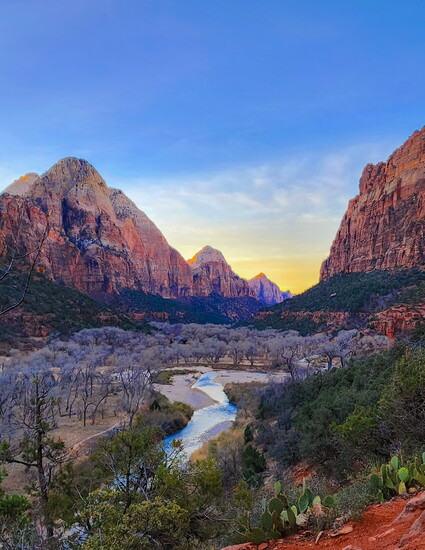 Provided by Tracee McDonald