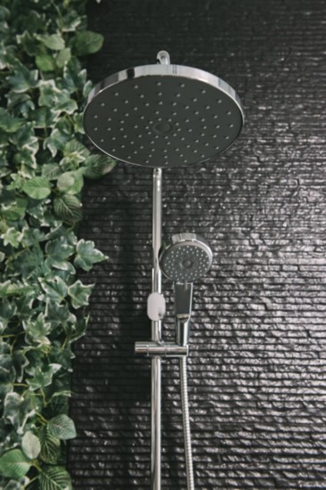 Popular rain shower heads pair with plants in a shower to create a rainforest effect.