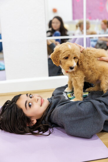 Courtesy Puppy Retreat