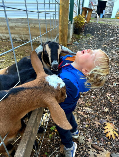 Courtesy Jollity Farm Goat Dairy