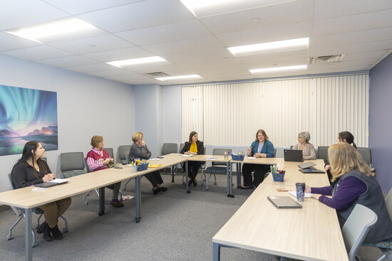 Safe + Sound Somerset meeting