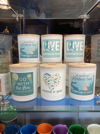 Shopping at the Aquarium of Boise.