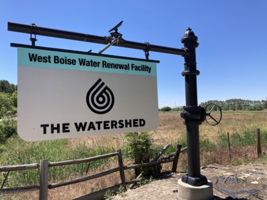 Yes! Fun learning about water, sewage, and gardens at the Watershed.