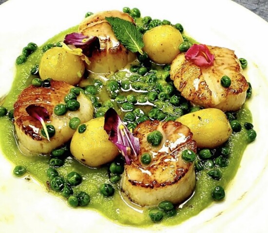 Scallops 