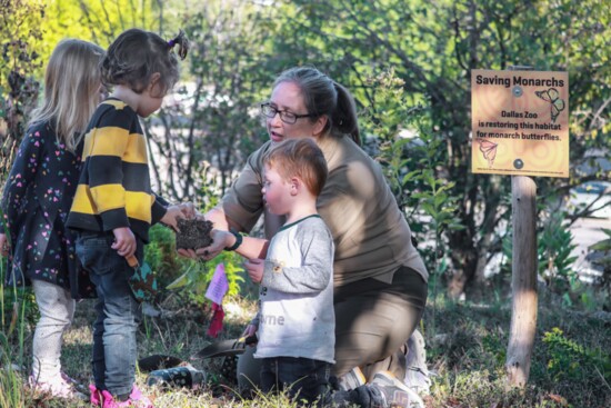 The Zoo's Wild Earth Preschool is the only full-day, nature-based preschool in South Dallas.