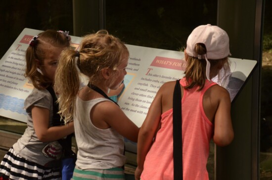 Campers in the Zoo's Wild Adventures Camp explore the Zoo and learn.