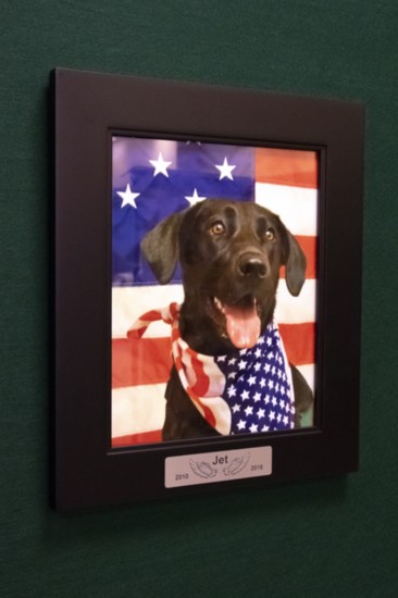 Jet has been the first and only Smoky Mtn. Service Dog to pass away since the program began.