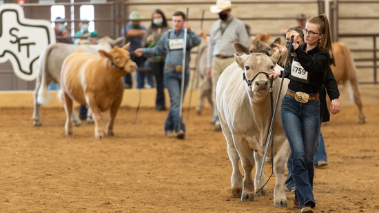 The State Fair of Texas