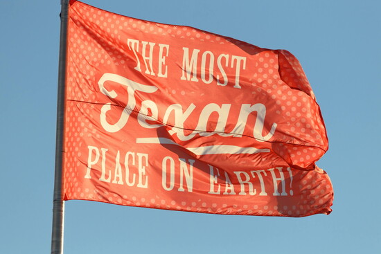 The State Fair of Texas