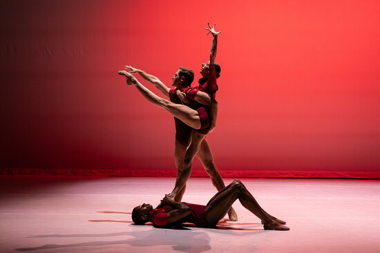 Photo by Amanda Tipton