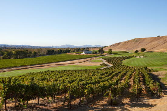 Courtesy of Wente Vineyard