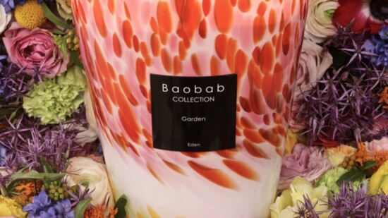 easter-baobab-collection%20-%2016-550?v=1