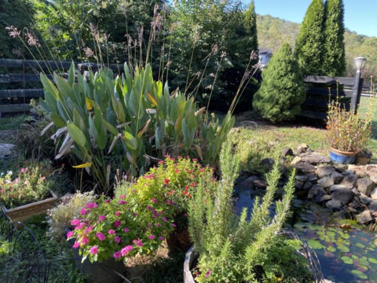 Aspen Dale Garden and Pond