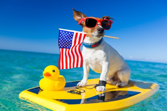 Pets feeling the summer vibes.