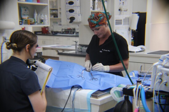 Doctors operate on one of the many patients Creekside helps daily.