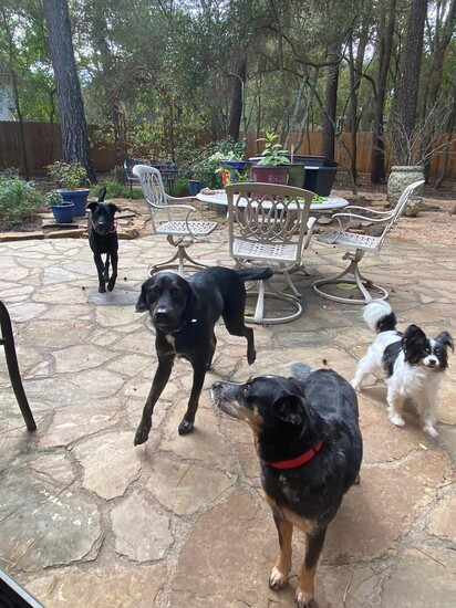 Enjoying the great outdoors