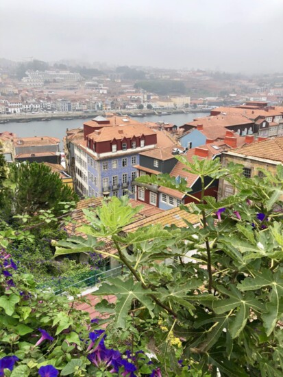 View of Porto. Photo by Susan Lanier-Graham