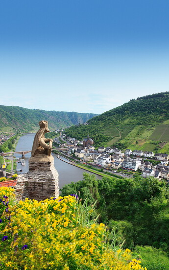 Viking River Cruises