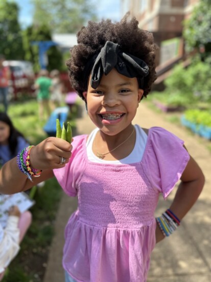 Student enjoying freshly picked peas in the garden. Photo credit: Aleen Carey