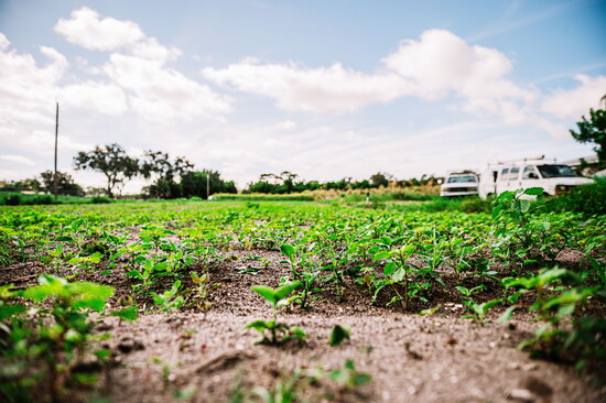 Bilimama Photography 