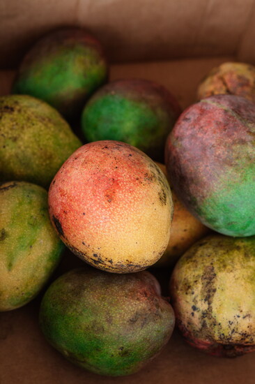 Bilimama Photography 