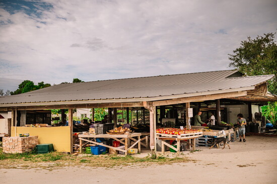 Bilimama Photography 