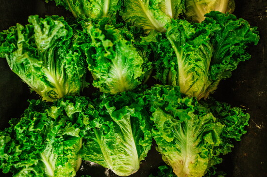 Bilimama Photography 