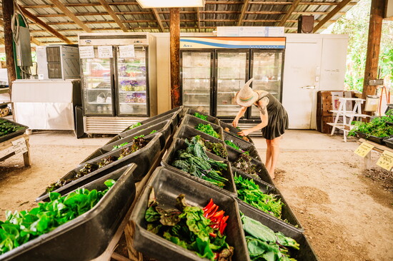 Bilimama Photography 