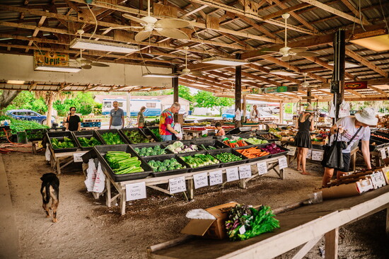 Bilimama Photography 