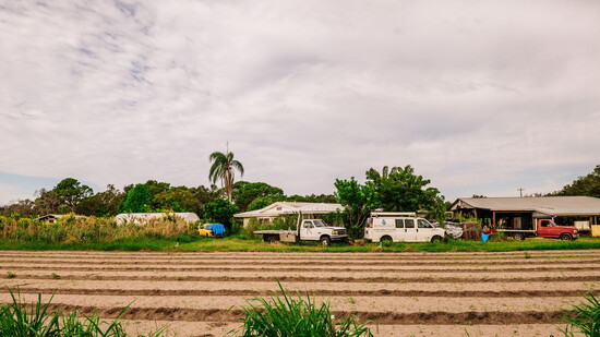 Bilimama Photography