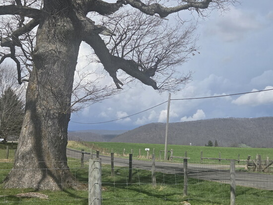Scenery in Burke's Garden. Photo Credit: Jennifer Waldera