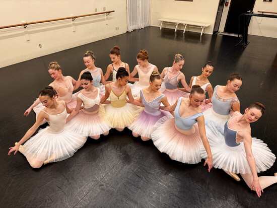 CDT Pre-Pro Ballerinas 