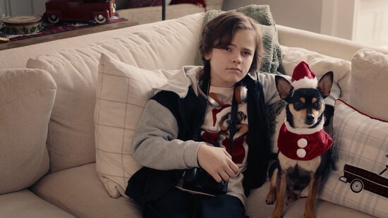 Oscar the rescue pup, played by Pickles, brings heart, humor, and Christmas chaos to All Is Merry & Bright.