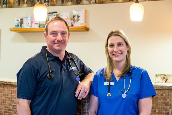 Park Animal Hospital, Kristina Staal Photography