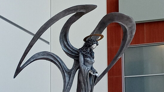Aultman Hospital Angel