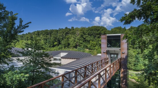 Pedestrian bridge from the north tower to the north forest. Courtesy of Crystal Bridges Museum