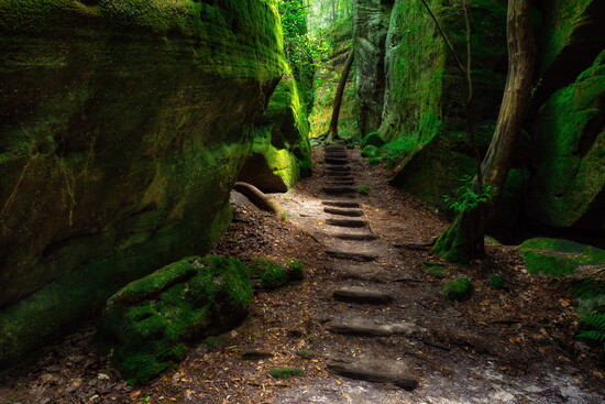Dismals Canyon-Phil Campbell, Al